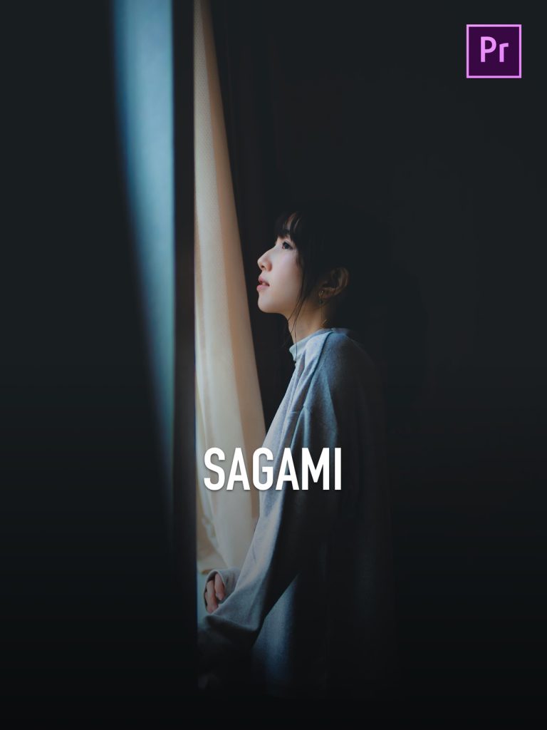 msvyle.com SAGAMI luts 0