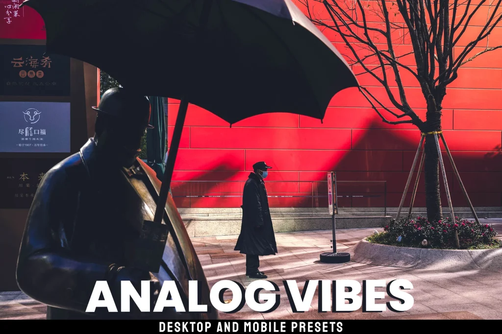 msvyle.com analog vibes desktop and mobile presets 2