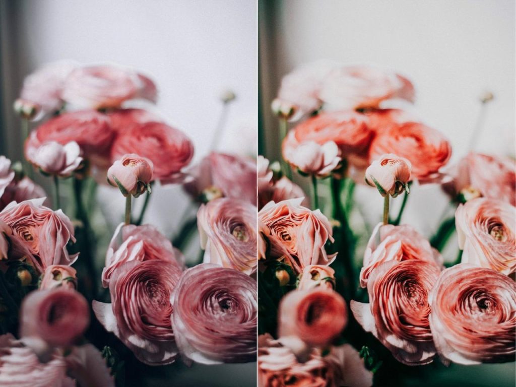 soft moody vibrant spring lightroom presets